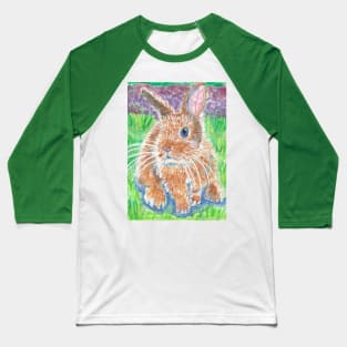 bunny rabbit Baseball T-Shirt